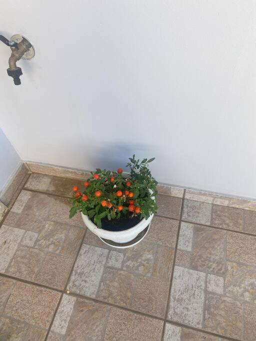 New Lovely Apartment In Heraklion Zewnętrze zdjęcie