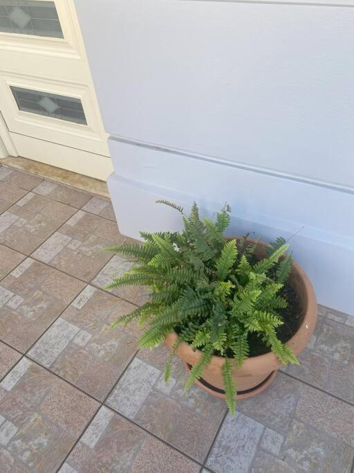 New Lovely Apartment In Heraklion Zewnętrze zdjęcie